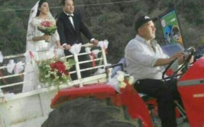 Syrian weddings: protocols must be followed before falling in love.