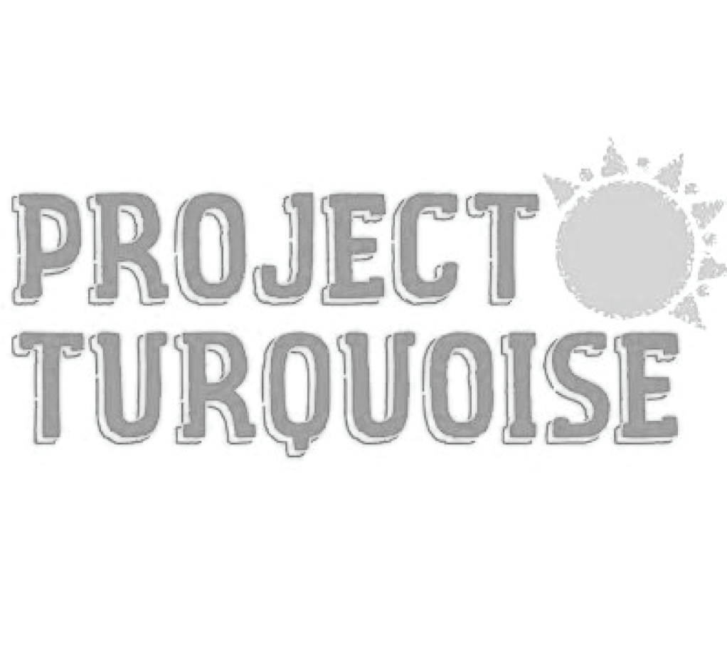 Project Turquoise 