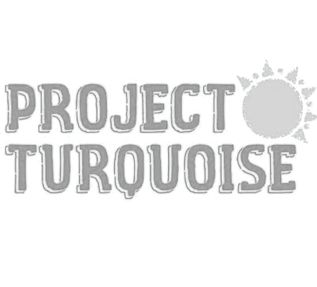 Project Turquoise