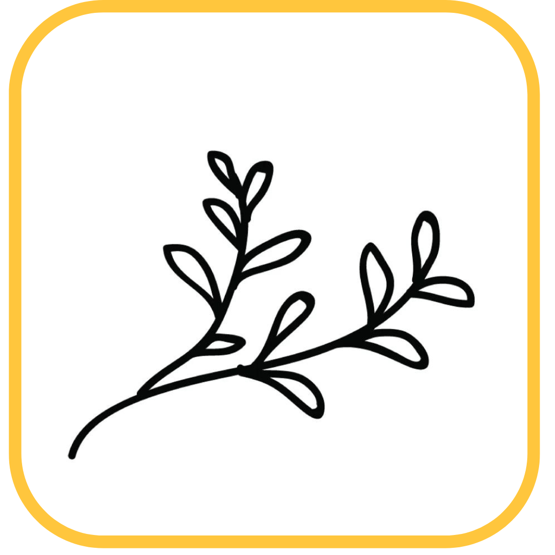 The Artisan Fund