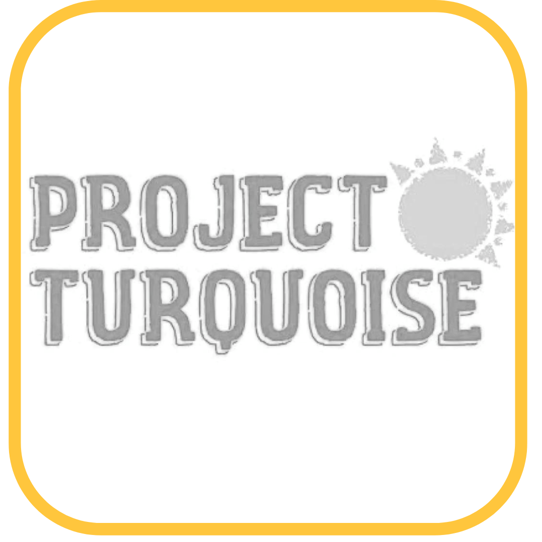 Project Turquoise 