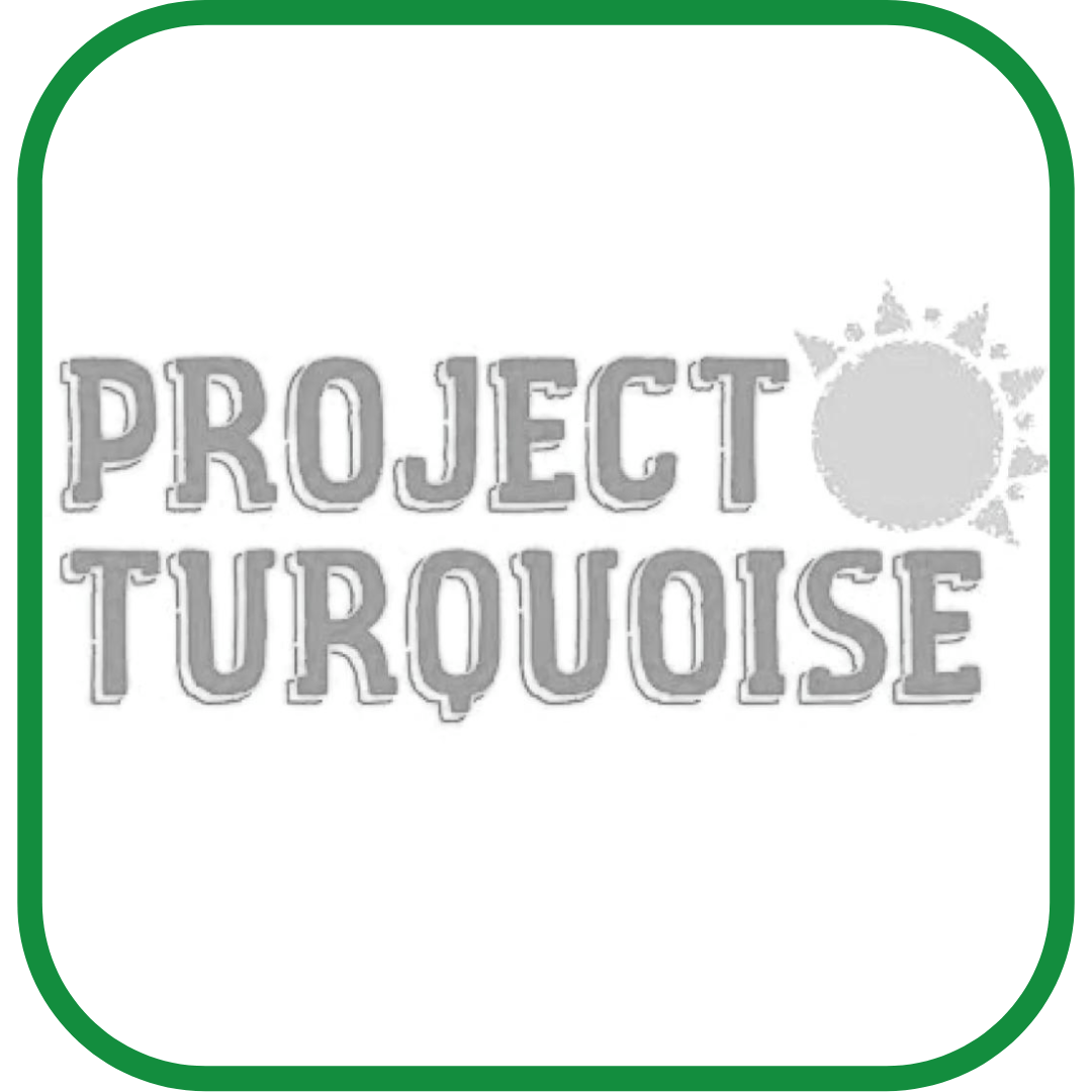 Project Turquoise